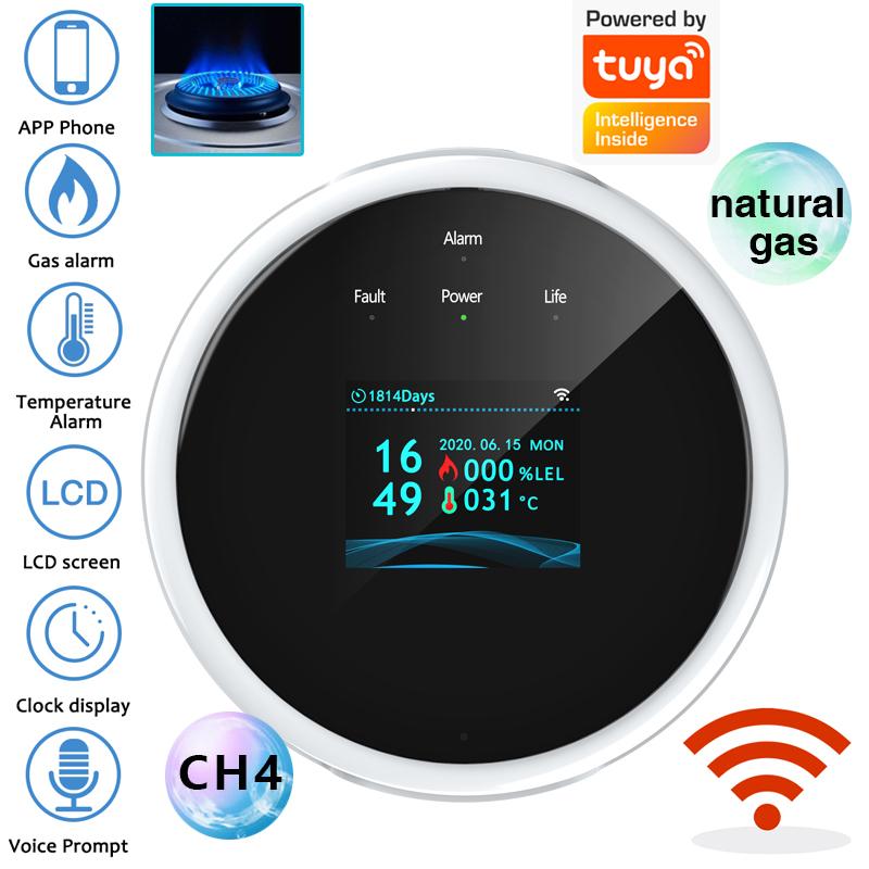 Home Security Monitor - 2.4G WiFi Gaz Alarm Sensörü Yanıcı