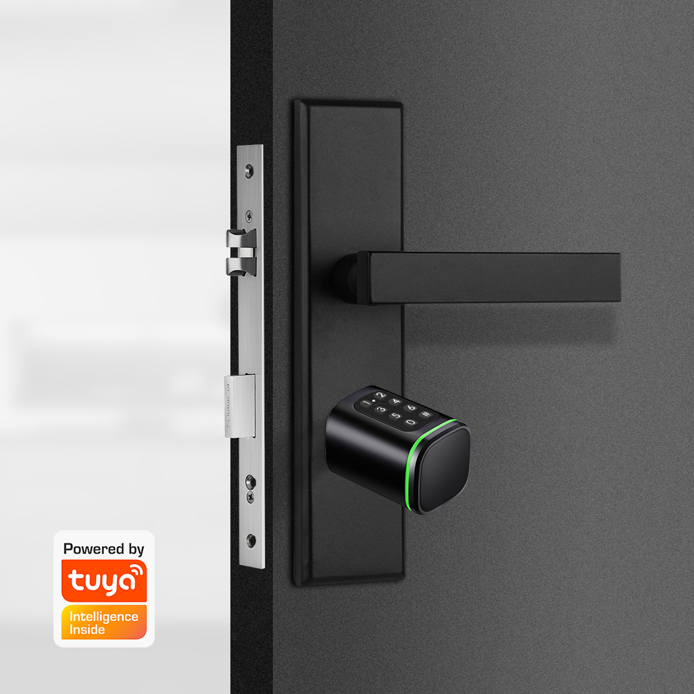 Akıllı Silindir Kilit Tuya 60- - Home Security Ideas incelemesi ve fiyatı